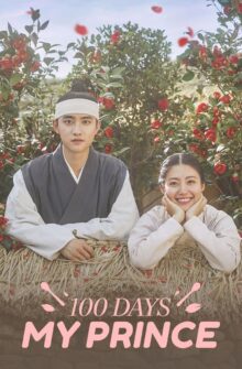 100 Days My Prince dizi izle