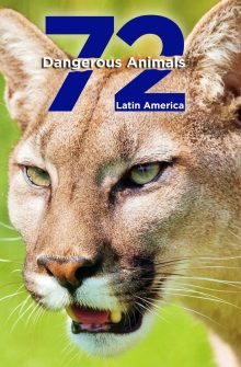 72 Dangerous Animals: Latin America izle