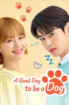 A Good Day to be a Dog dizi izle