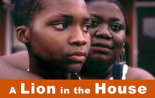 A Lion in the House izle