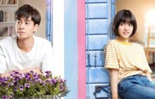 A Love So Beautiful izle