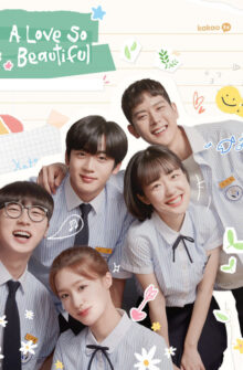 A Love So Beautiful izle