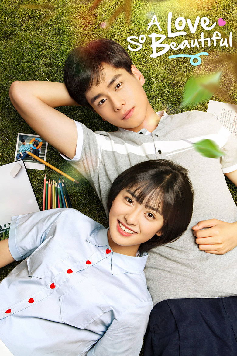 A Love So Beautiful dizi izle