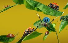 A Real Bug's Life izle
