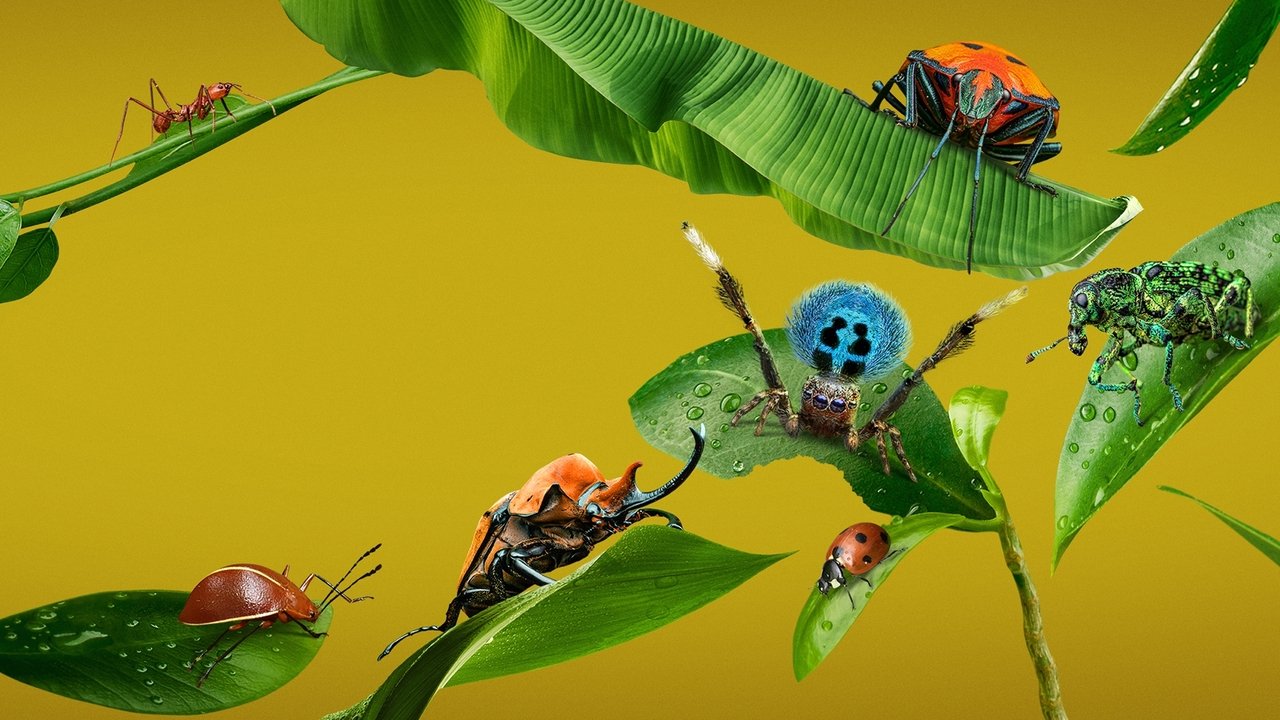 A Real Bug's Life izle