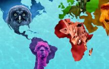 Absurd Planet izle