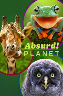 Absurd Planet dizi izle