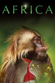 Africa dizi izle