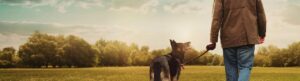 After Life izle