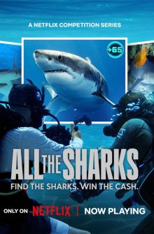 All the Sharks dizi izle