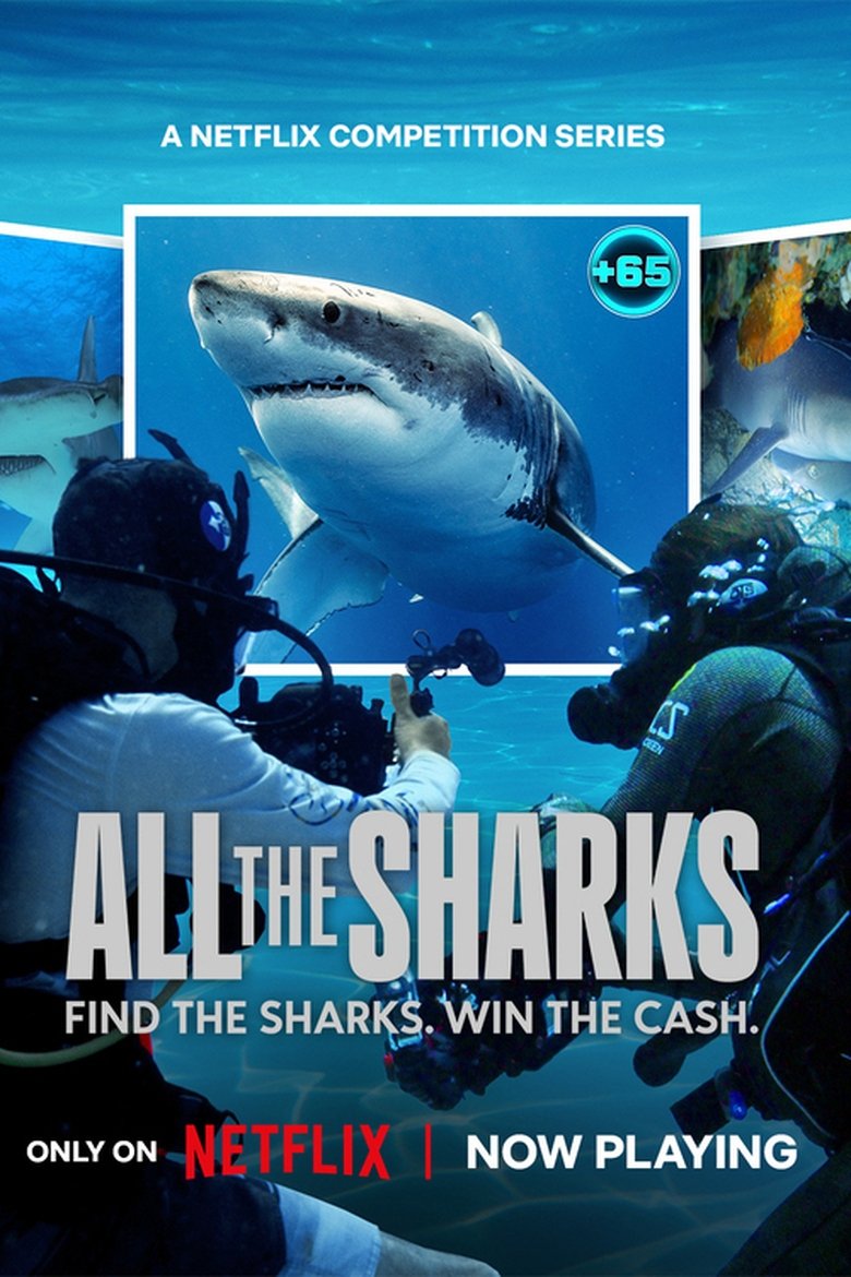 All the Sharks dizi izle