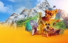 Animal izle