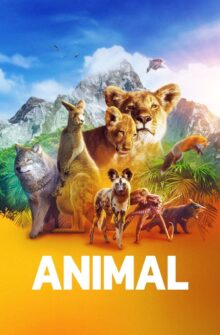 Animal dizi izle