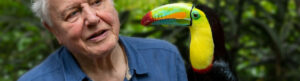 Attenborough's Life in Colour izle