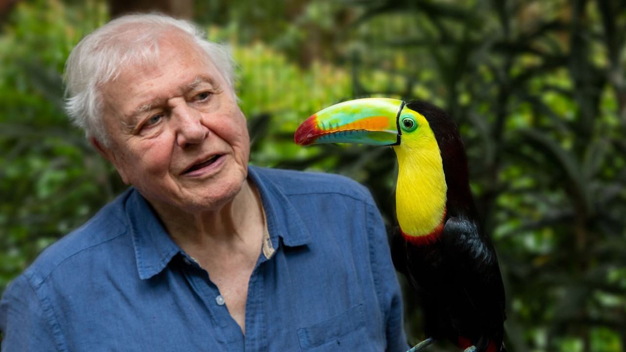 Attenborough's Life in Colour izle