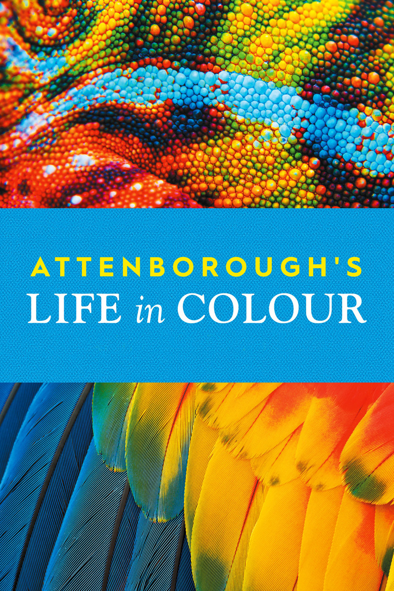 Attenborough’s Life in Colour izle