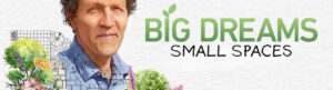 Big Dreams Small Spaces izle