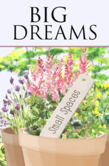 Big Dreams Small Spaces dizi izle