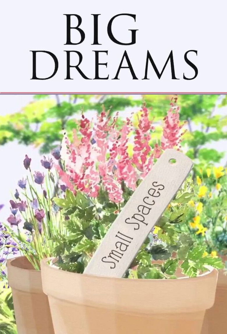 Big Dreams Small Spaces dizi izle