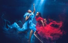 Blood & Water izle