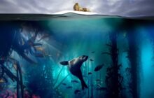Blue Planet II izle