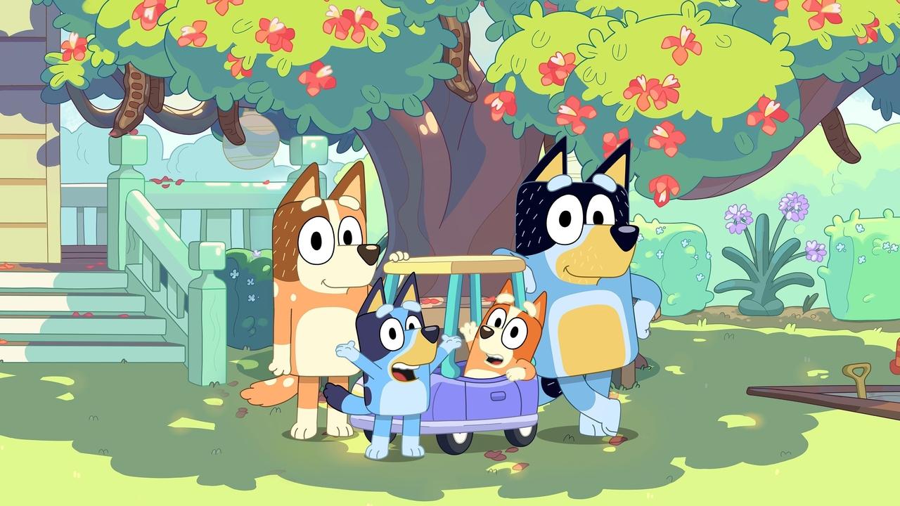 Bluey izle