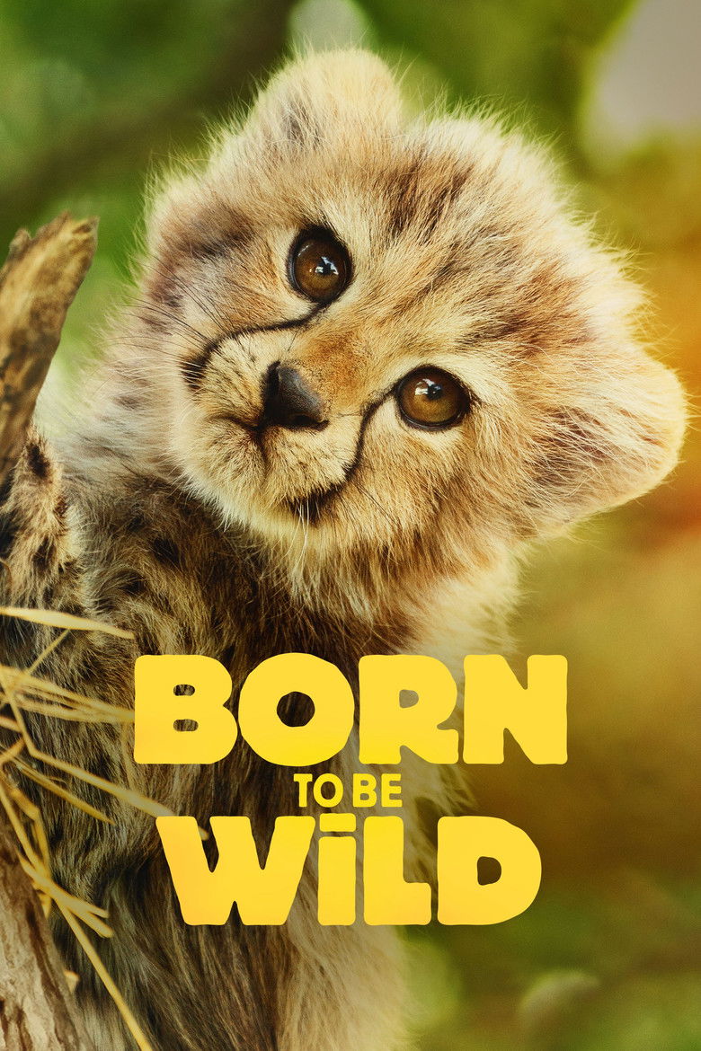 Born to Be Wild dizi izle