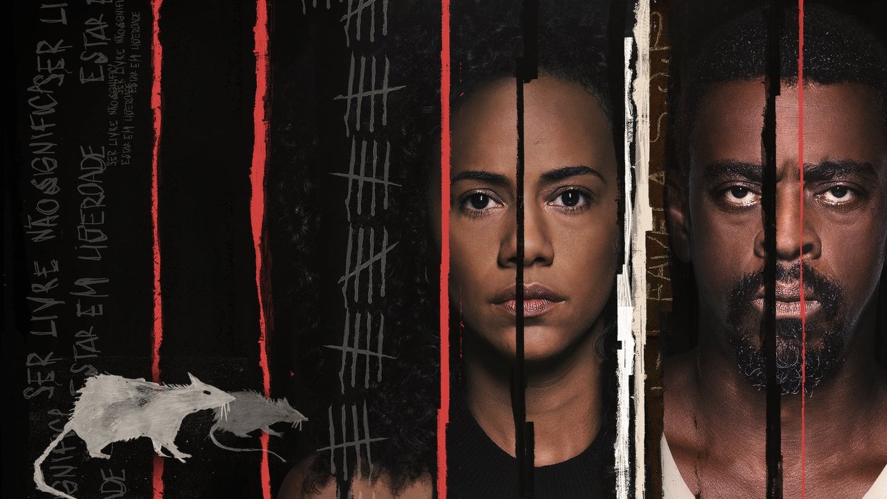 Brotherhood izle