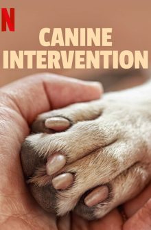 Canine Intervention dizi izle