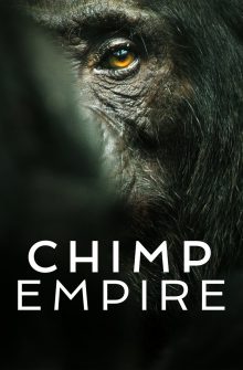 Chimp Empire dizi izle