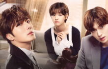 Cinderella and Four Knights izle