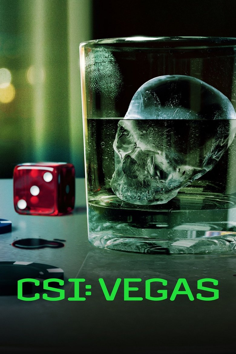 CSI: Vegas dizi izle