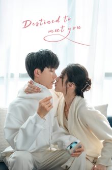 Destined to Meet You dizi izle
