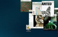 Don't F**k with Cats: Hunting an Internet Killer izle