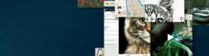Don't F**k with Cats: Hunting an Internet Killer izle