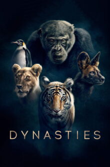 Dynasties dizi izle