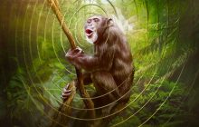 Earthsounds izle