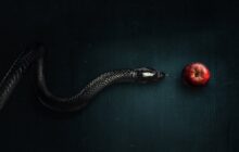 Evil 4. Sezon 9. Bölüm izle