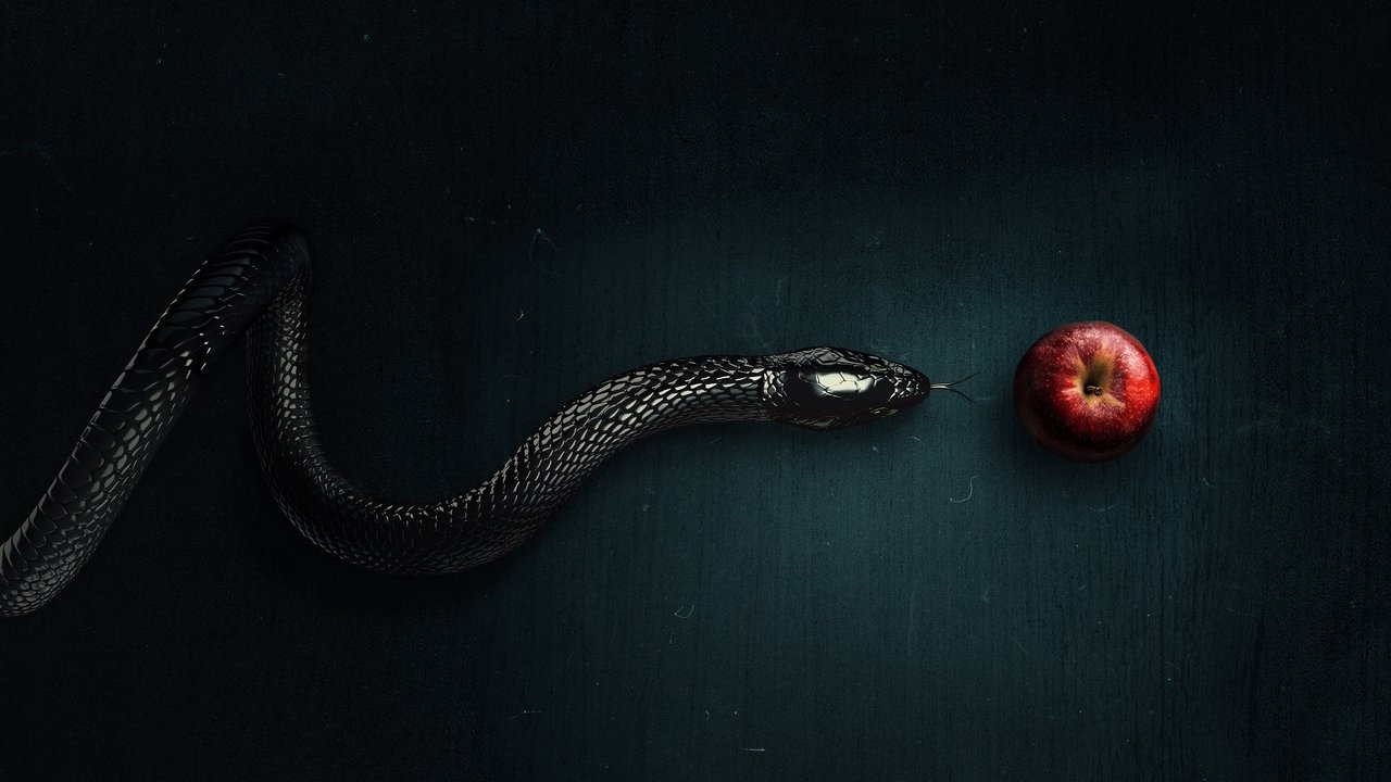 Evil izle