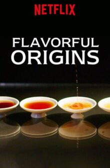 Flavorful Origins izle