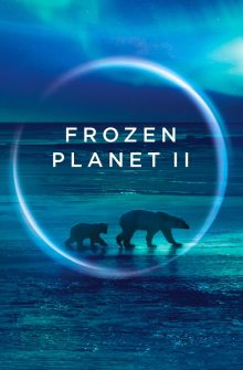 Frozen Planet II izle