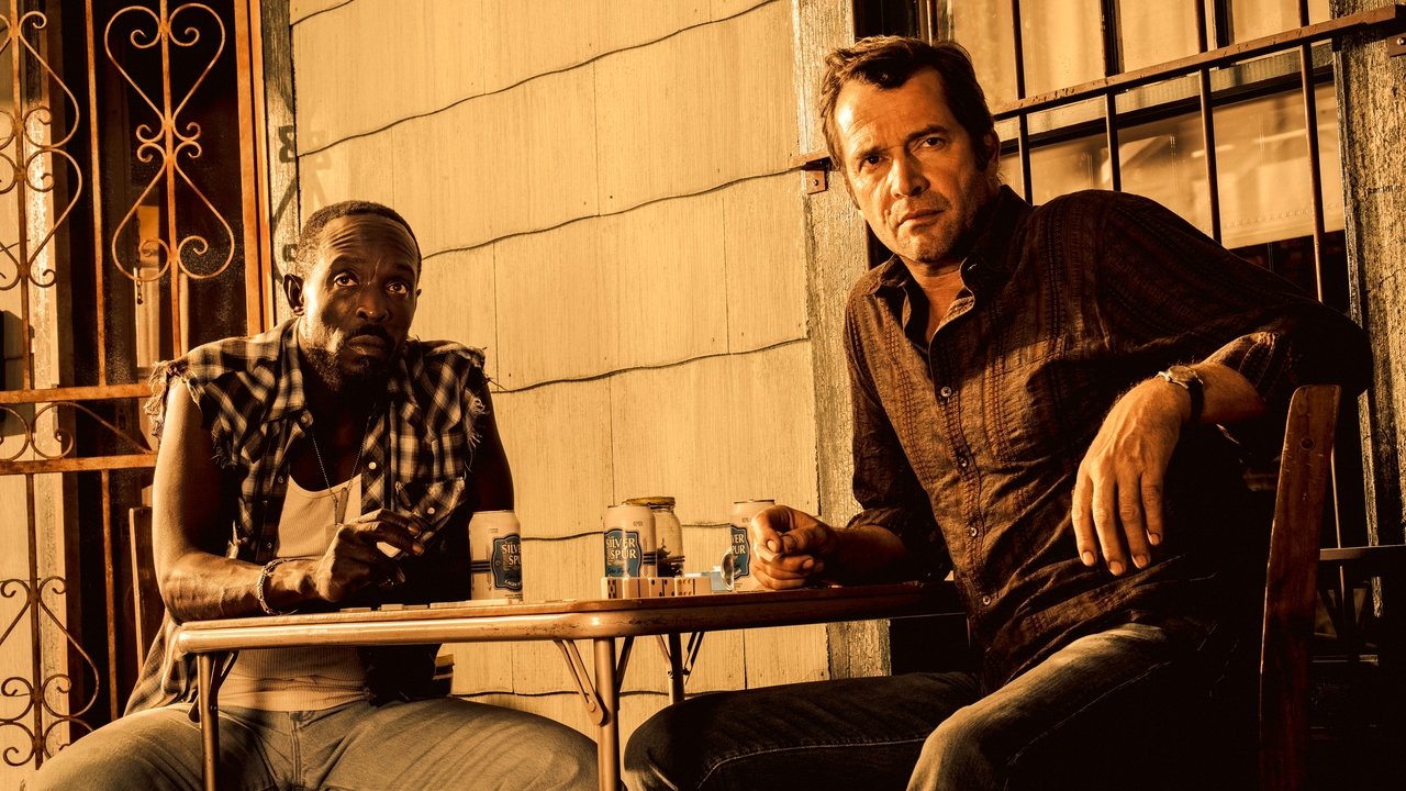 Hap and Leonard izle