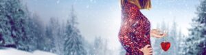 Home for Christmas izle