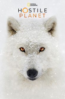 Hostile Planet izle