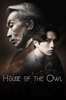 House of the Owl izle