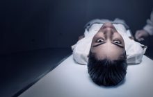 Insanity izle