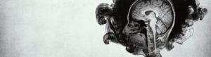 Inside the Criminal Mind izle