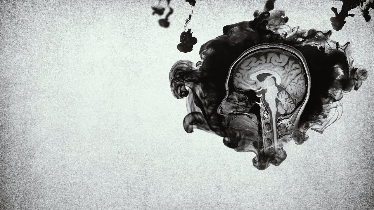 Inside the Criminal Mind izle