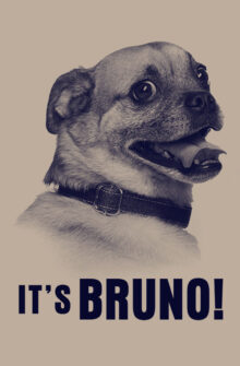 It’s Bruno! dizi izle