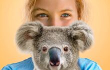 Izzy’s Koala World 2. Sezon 8. Bölüm izle